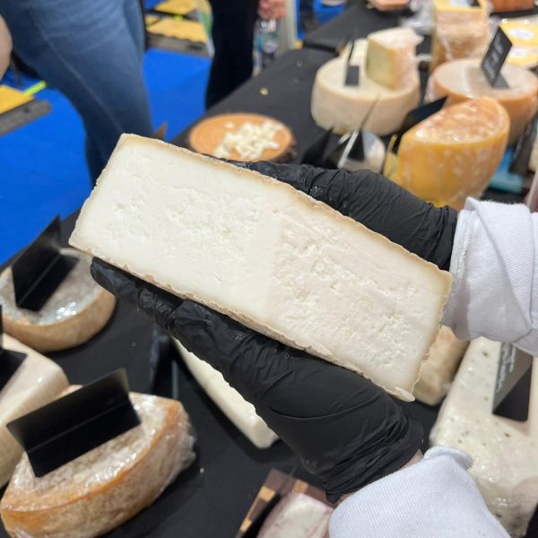 f1391d35-26bf-4c39-b0ad-74de7cb80022